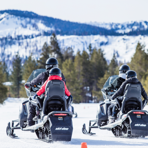 a group of people riding skis across snow covered ground