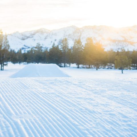 a snow covered field