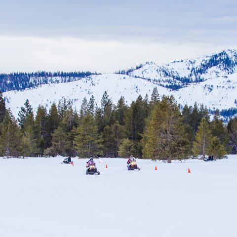 a group of people riding skis down a snow covered slope